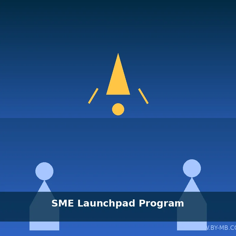 [CONS-LAUNCH-001] SME Launchpad Program