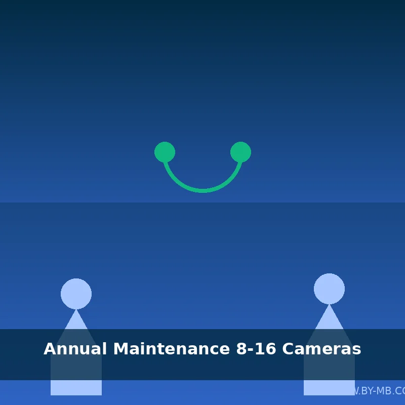 [SUPP-MAINT-S-001] Annual Maintenance (8-16 cameras)
