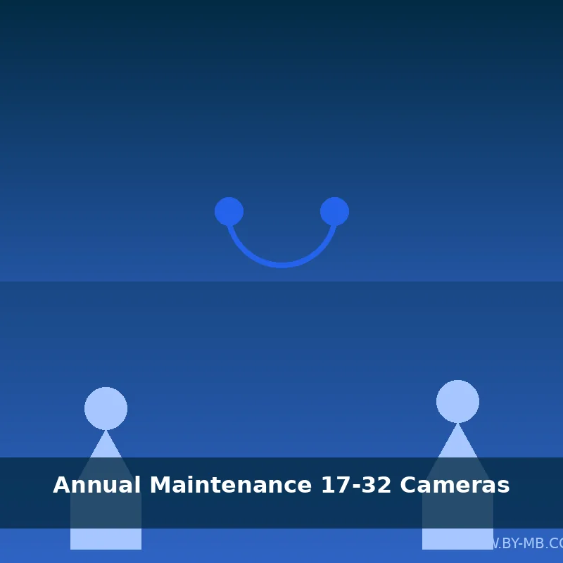 [SUPP-MAINT-L-001] Annual Maintenance (17-32 cameras)